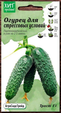 Огурец Траст F1 7 шт АСТ фото в интернет-магазине "Сортовые семена"