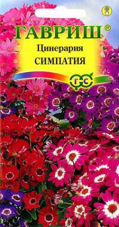 Цинерария Симпатия (цветущая гибридная)* 10 шт. фото в интернет-магазине "Сортовые семена"