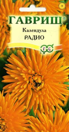 Календула Радио 0,5 г фото в интернет-магазине "Сортовые семена"