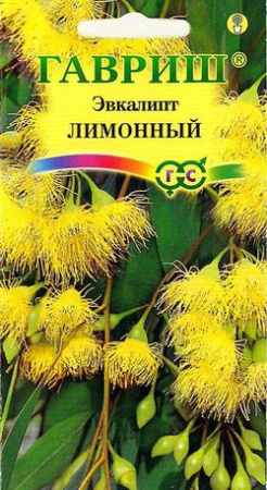 Эвкалипт Флагман (лимонный)* 0,05 г фото в интернет-магазине "Сортовые семена"