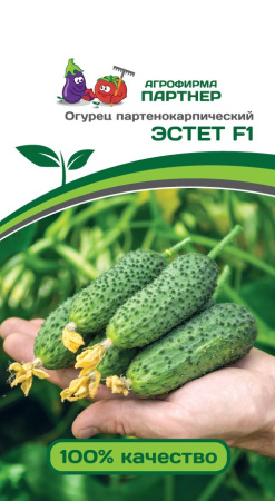 Огурец Эстет F1 фото в интернет-магазине "Сортовые семена"