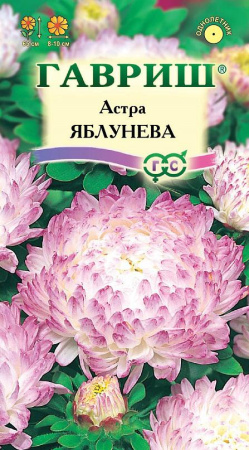 Астра Яблунева 0,3 г, пионовидная фото в интернет-магазине "Сортовые семена"