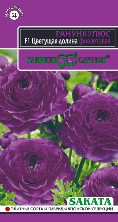 Лютик (Ранункулюс) Цветущая долина фиолетовая F1 3 шт. пробирка, серия Саката фото в интернет-магазине "Сортовые семена"