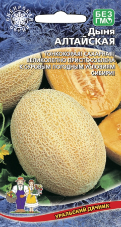 Дыня Алтайская (УД) Е/П 10 шт. фото в интернет-магазине "Сортовые семена"