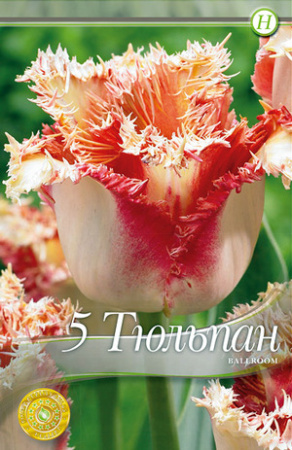 Тюльпан Баллрум фото в интернет-магазине "Сортовые семена"