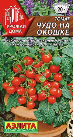 Томат Чудо на окошке ---     Урожай дома фото в интернет-магазине "Сортовые семена"