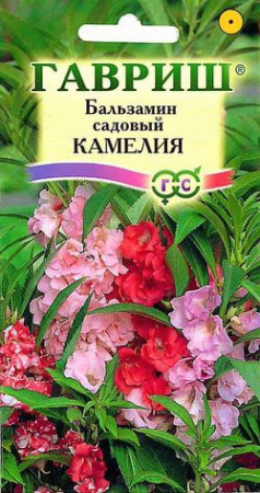 Бальзамин Камелия садовый 0,2 г фото в интернет-магазине "Сортовые семена"