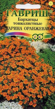 Бархатцы тонколист. Карина оранжевая (Тагетес) 0,05 г фото в интернет-магазине "Сортовые семена"