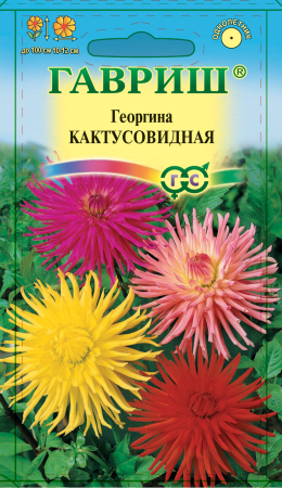 Георгина Кактусовидная, смесь 0,2 г фото в интернет-магазине "Сортовые семена"