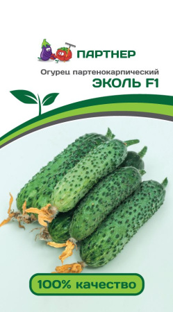Огурец Эколь F1 фото в интернет-магазине "Сортовые семена"