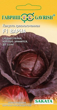 Капуста краснокоч. Варна F1 15 шт. (Саката) Н14 фото в интернет-магазине "Сортовые семена"