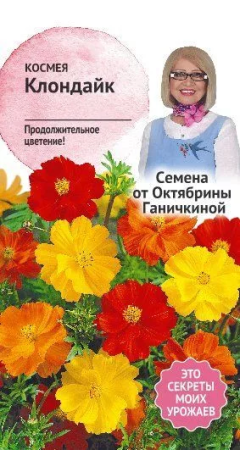 Космея Клондайк 0,3 г фото в интернет-магазине "Сортовые семена"