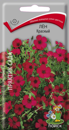 Лён Красный фото в интернет-магазине "Сортовые семена"