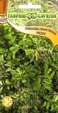 Кровохлёбка Резус 0,5 г фото в интернет-магазине "Сортовые семена"
