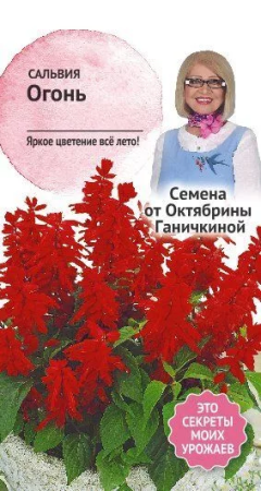 Сальвия Огонь 0,1 г фото в интернет-магазине "Сортовые семена"