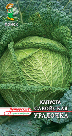 Капуста савойская Уралочка фото в интернет-магазине "Сортовые семена"