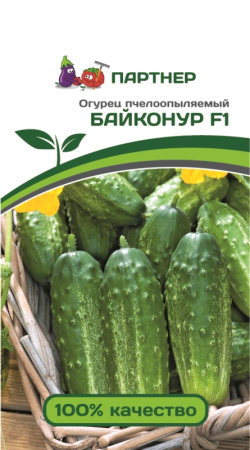 Огурец Байконур F1 фото в интернет-магазине "Сортовые семена"