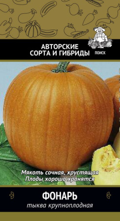 Тыква крупноплодная Фонарь(А) (ЦВ) 10шт. фото в интернет-магазине "Сортовые семена"