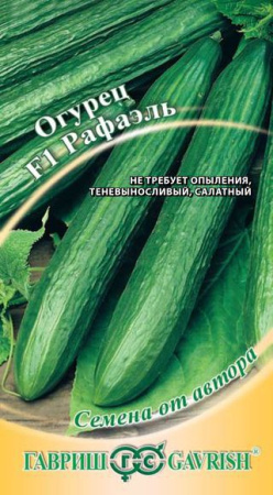Огурец Рафаэль F1 10 шт. автор. фото в интернет-магазине "Сортовые семена"