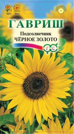 Подсолнечник Черное золото 0,5 г фото в интернет-магазине "Сортовые семена"