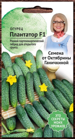 Огурец Плантатор F1 7 шт фото в интернет-магазине "Сортовые семена"