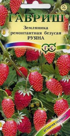 Земляника Руяна ремонтантная безусая* 0,03 г фото в интернет-магазине "Сортовые семена"