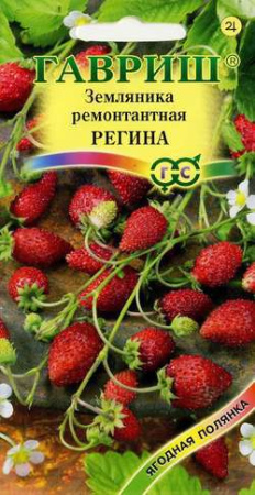 Земляника Регина* 0,03 г фото в интернет-магазине "Сортовые семена"