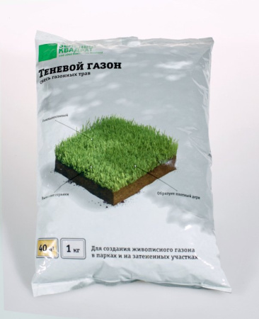 Зеленый квадрат Теневой фото в интернет-магазине "Сортовые семена" Зеленый квадрат Теневой фото в интернет-магазине "Сортовые семена"